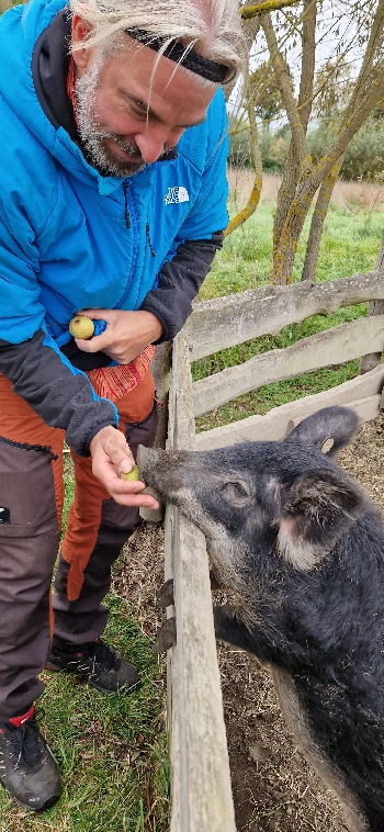 Olli mit Schwein